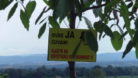Kinologija Odgajivačnica šarplaninaca "Od Nebojše"
